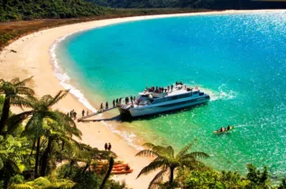 Discover Day - Abel Tasman